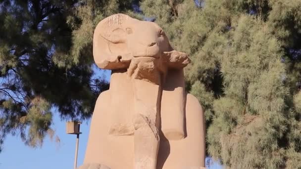 Рам Хед Сфинкс Маленькая Фигурка Нефертари Храме Карнак Египет — стоковое видео