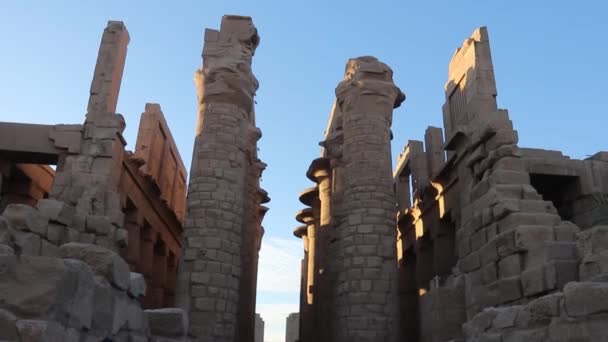 Gran Salón Hipóstilo Del Templo Karnak Egipto — Vídeos de Stock