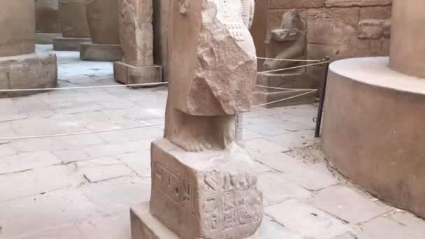 Αρχαία Αγάλματα Στο Ναό Karnak Στην Αίγυπτο — Αρχείο Βίντεο