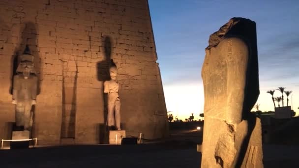 Ramszesz Kolosszális Szobra Luxor Templom Bejáratánál Egyiptomban — Stock videók