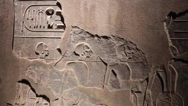 Mısır Daki Lüksör Tapınağı Nda Antik Mısır Rahatlaması — Stok video