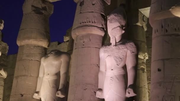 埃及卢克索神殿的拉姆西斯二世庭院 — 图库视频影像