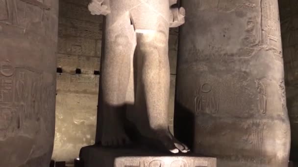 埃及卢克索神殿的拉姆西斯二世庭院 — 图库视频影像