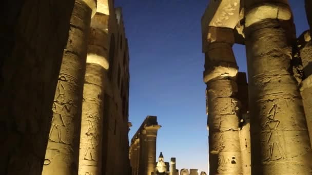Nacht Luxor Temple Oud Egyptisch Tempelcomplex — Stockvideo