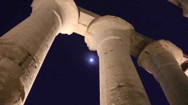 古代エジプトの寺院複合体ルクソールの夜 — ストック動画