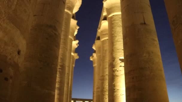 Natt Luxor Temple Det Antika Egyptiska Templet — Stockvideo