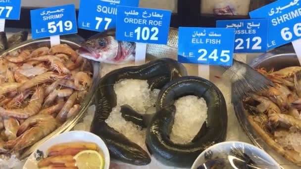 Vismarkt Visrestaurant Oude Stad Van Alexandrië Egypte — Stockvideo