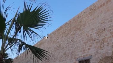 Qaitbay Kalesi ya da İskenderiye 'deki Qaitbay Kalesi, Mısır.