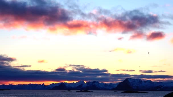 Scénický Výhled Podél Silnice Lofotenských Ostrovech Norsko — Stock video
