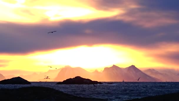 Szcenikus Kilátás Mentén Lofoten Szigetek Norvégia — Stock videók