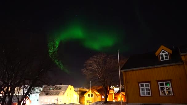 북극광 노르웨이의 오로라 — 비디오