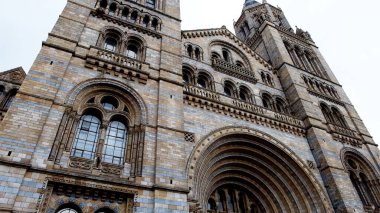 Londra 'daki Doğal Tarih Müzesi.