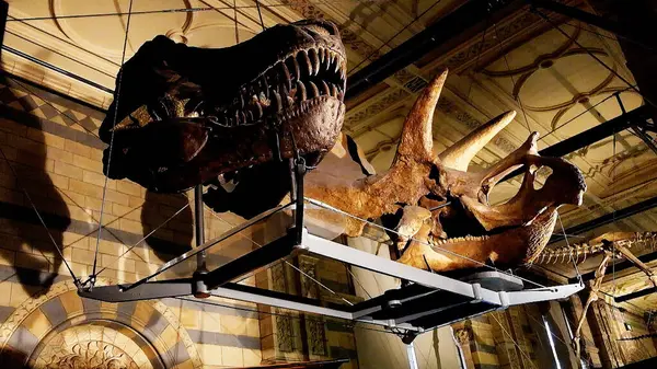 Natural History Museum London — Stock Photo, Image