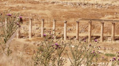 jerash antik kentinde sütunlu sokak, Ürdün.