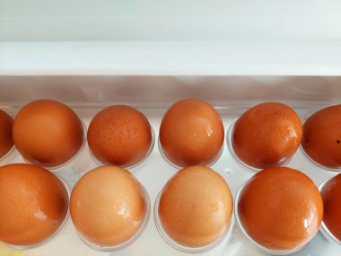 Buzdolabı rafında tavuk yumurtası.