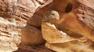 Ürdün 'ün Petra şehrinde hayvan şekilli kaya oluşumu.  