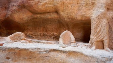 Ürdün 'ün Petra kentindeki Deve Yardım Derneği..