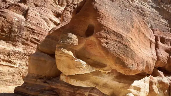Σχηματισμός Πετρωμάτων Σχήμα Ζώου Στην Αρχαία Πόλη Πέτρα Της Ιορδανίας — Φωτογραφία Αρχείου