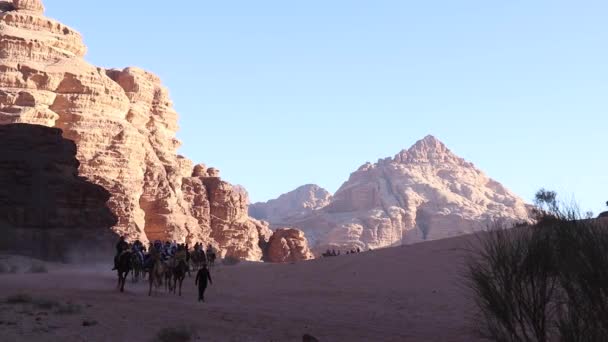 Touristes Dos Chameau Dans Aire Protégée Wadi Rum Jordanie — Video