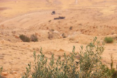 Wadi Musa, Petra, Ürdün 'de Sabah Kaya oluşumu.