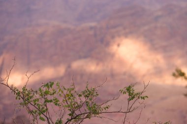 Wadi Musa, Petra, Ürdün 'de Sabah Kaya oluşumu.
