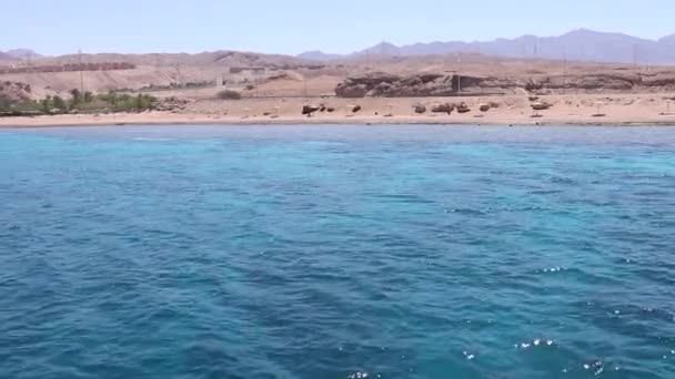 Röda Havet Kryssning Akaba Jordanien — Stockvideo