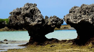 Vanuatu 'daki Eton Sahili' nde güzel manzara ve kristal berrak su.