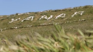 Azeri Wonder: Yanar Dag 'ın Yeşil Tepesi Alevli