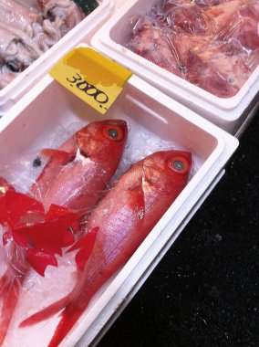 Balık pazarında satılık bir kabın içinde çiğ Japon kırmızı balığı..