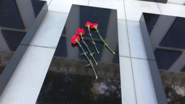 Bakü 'de Şehitleri Onurlandıran Kırmızı Gelincikler