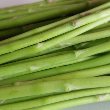 Taze yeşil kuşkonmaz grup beyaz arka plan üzerinde