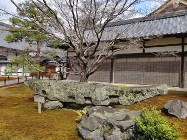 Geleneksel bir Japon bahçe karışımı doğa ve tasarım