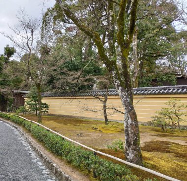 Geleneksel bir Japon bahçe karışımı doğa ve tasarım