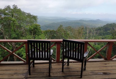 Kamboçya 'daki Deniz Ormanı Mondulkiri Dağı Tepesi