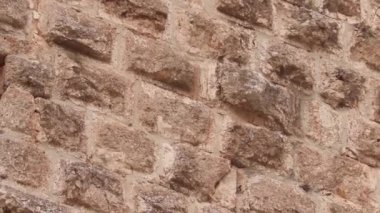 Ajloun Kalesi: Ürdün 'ün kuzey sınırını savunan 12. yüzyıldan kalma bir kale