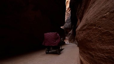 Petra, Ürdün 'de at arabasıyla turist gezisi