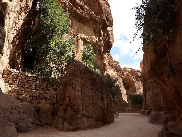 Antik uygarlıklar, Petra 'nın kumtaşı kayalıklarına muhteşem doğal kaya manzaraları kazıdılar.