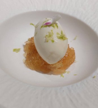 Ev yapımı kuşlar dondurmayla yuva yapar.