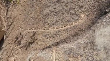 Tarih öncesi insanların yaşam tarzlarını tasvir eden kaya oymaları.