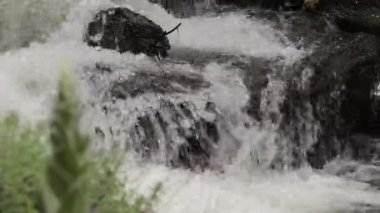 Ermenistan 'daki Garni Vadisi yakınlarındaki bir ormandan geçen küçük bir dere.