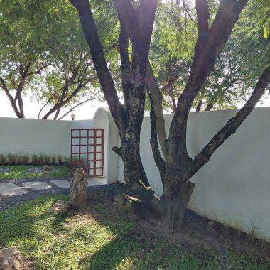 Minimalist Japon tarzı, taşlı ve çakıllı çimen dekorasyonu