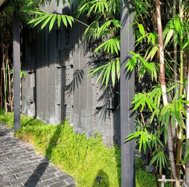 Japon tarzında bambu bitkileriyle dekore edilmiş beton blok duvarlar.