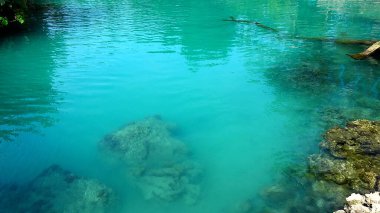 Vanuatu 'daki Efate Adası' ndaki Mavi Göl 'ün turkuaz suları