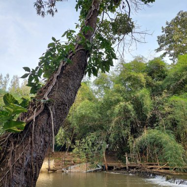 Khao Yai, Tayland 'da doğayla çevrili nehir kenarındaki bir kafe..