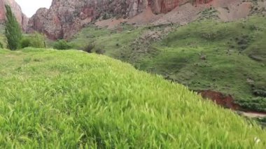 Ermenistan 'ın en ünlü yerlerinden biri olan Noravank Manastırı' nı çevreleyen kızıl kayalıklar ve yemyeşil alanlar