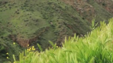 Amaghu Vadisi 'nin nefes kesici doğal manzarası Ermenistan' daki Noravank Manastırı 'ndan izleniyor.