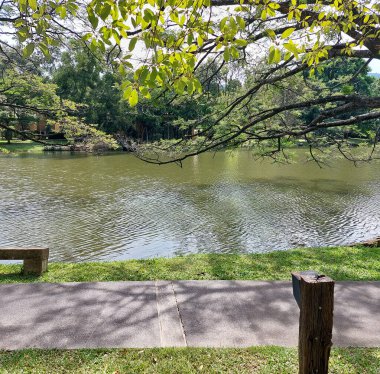 Gölün etrafındaki ağaçlarla çevrili sakin bir atmosfer.