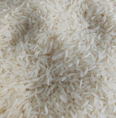 Taze hasat edilmiş Tayland yasemin pilavı 