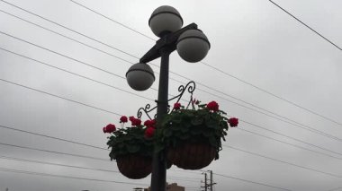 Peru 'da çiçek saksılarıyla süslenmiş bir sokak lambası.