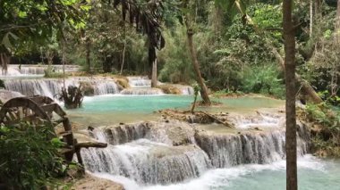 Kuang Si Şelale Parkı 'ndaki çarpıcı derin yeşil su